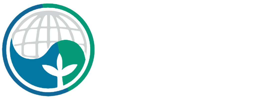 SAEMAUL FOUNDATION